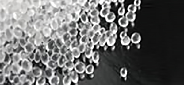 Petrochemicals